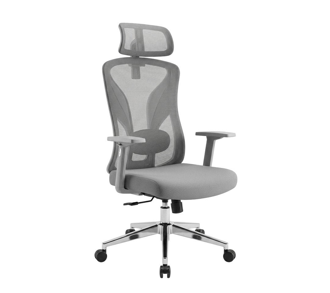 Audi Silla Presidencial