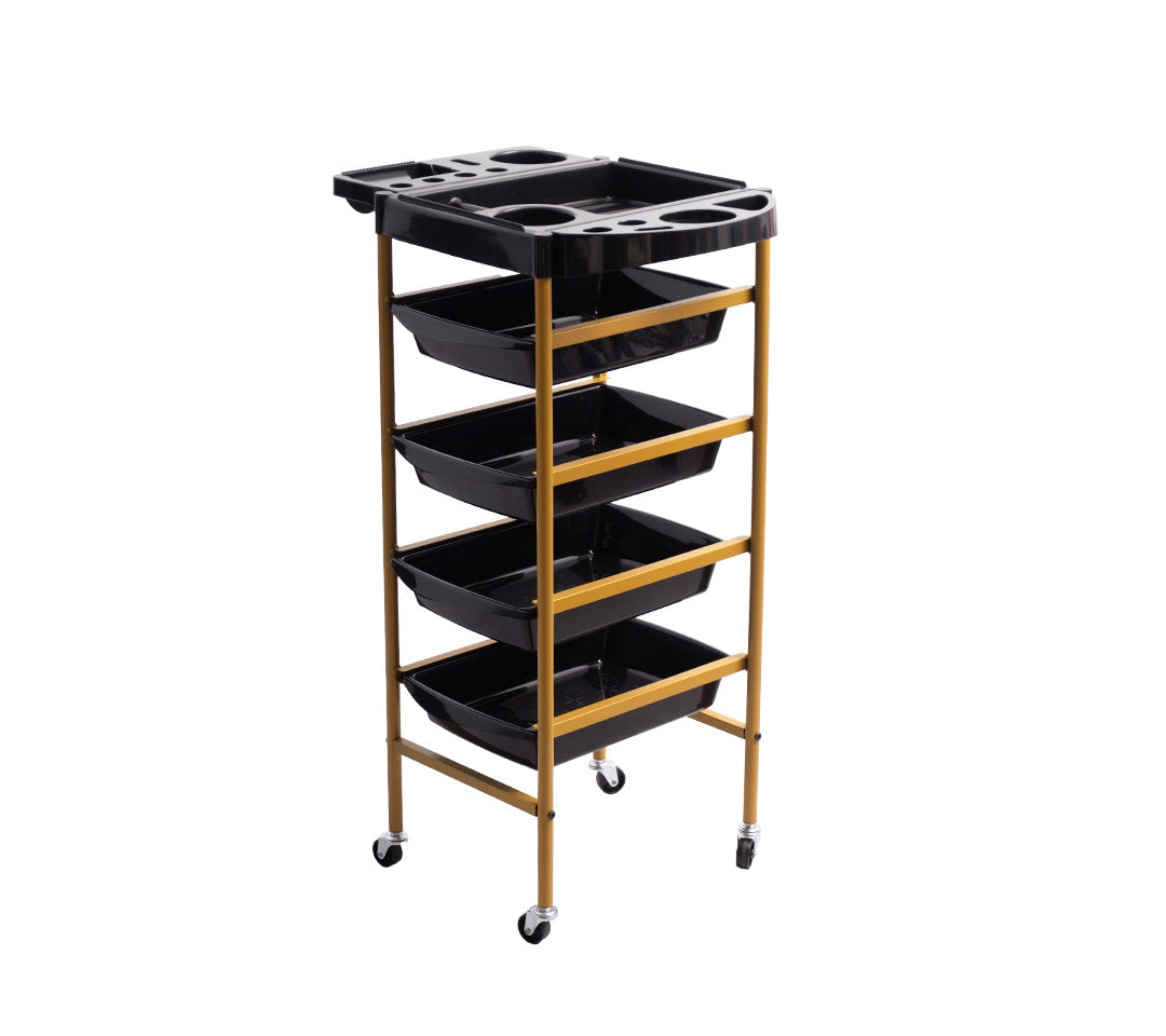 AYUDANTE DE PELUQUERÍA S1 PRO DORADO