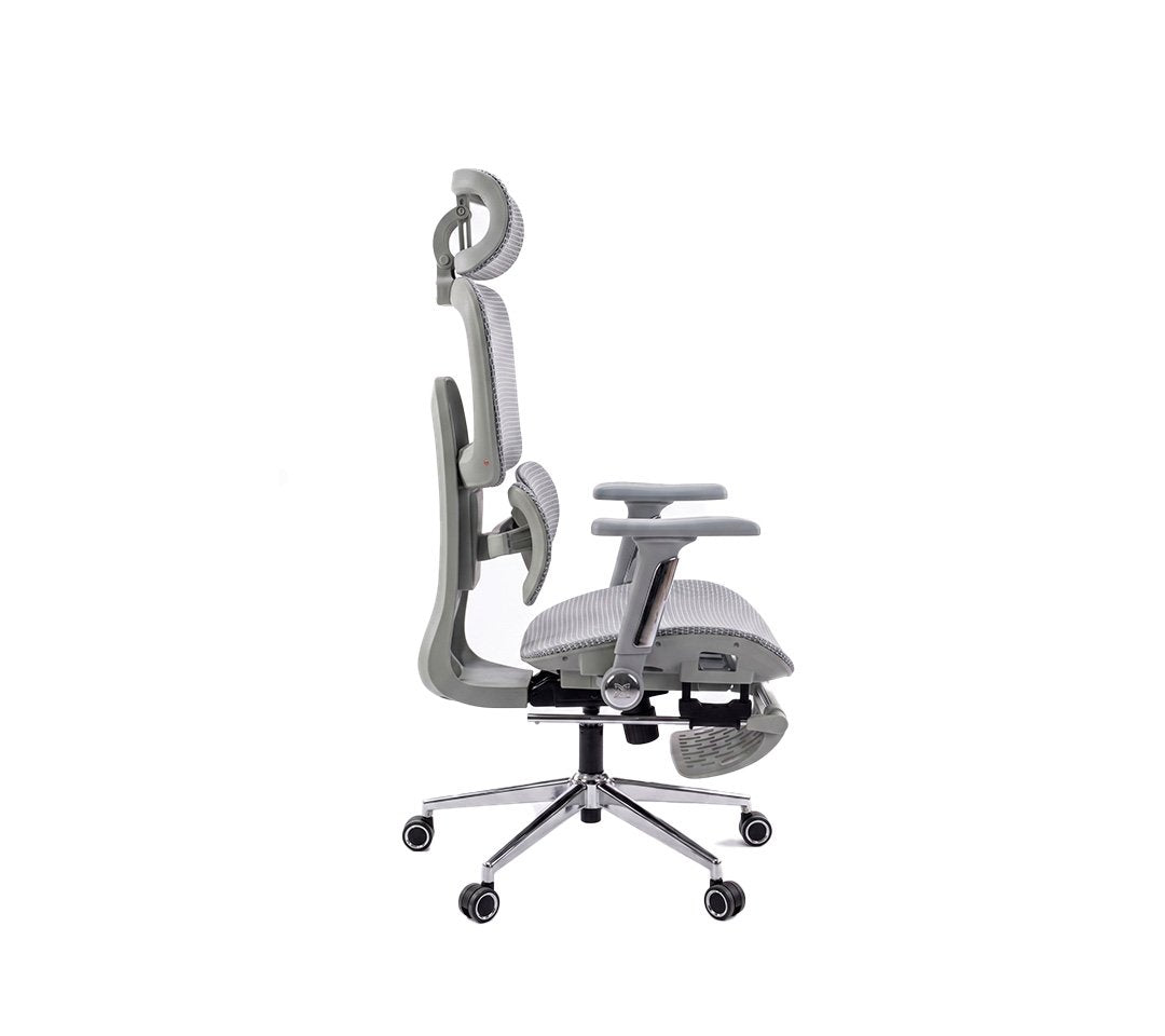 Infinity Presidencial