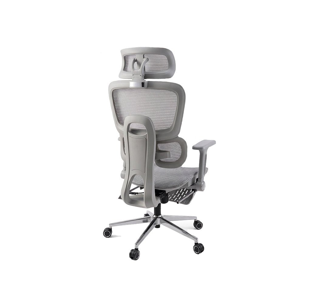 Infinity Presidencial