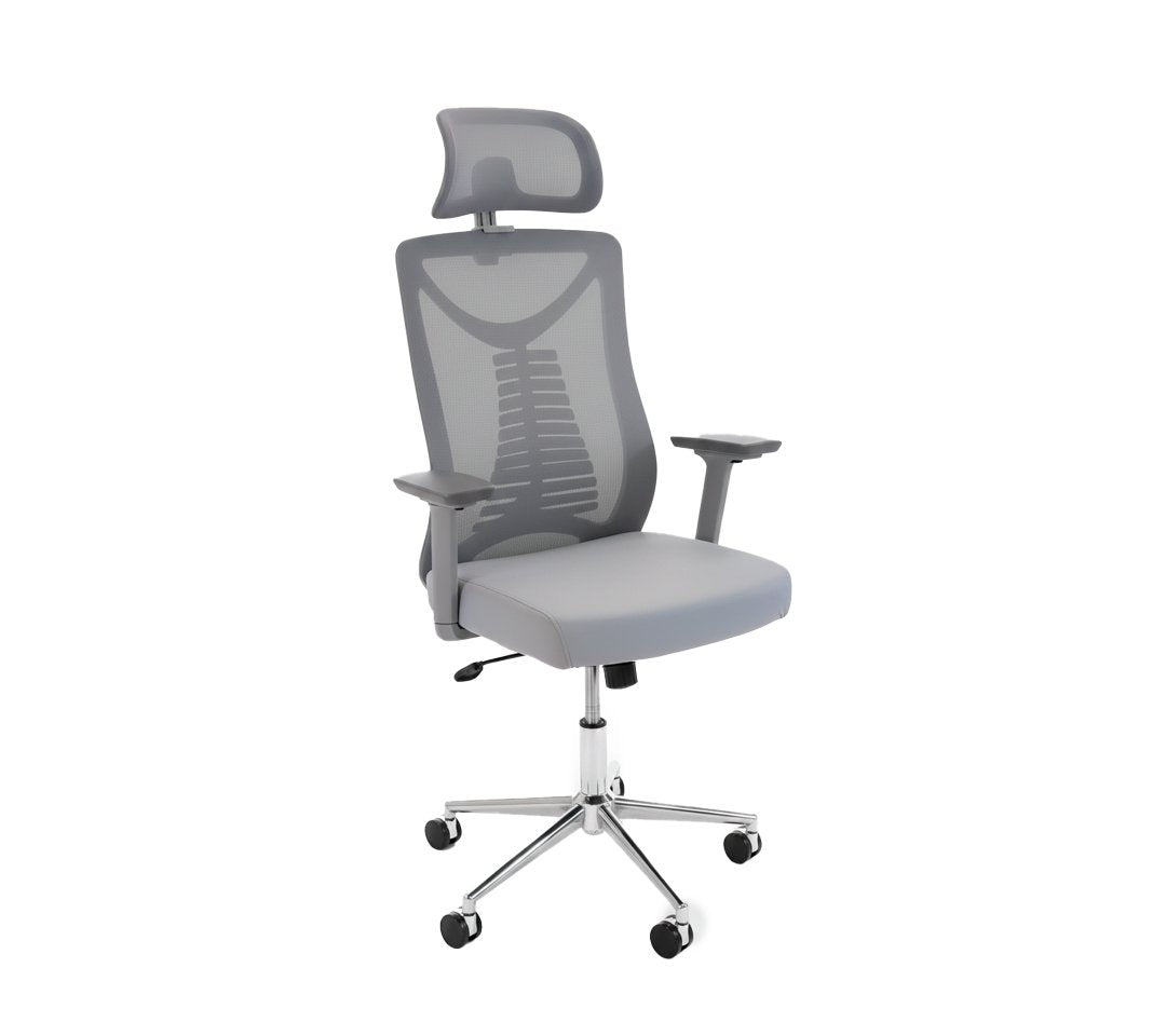 Paris Presidencial - Ergonómica