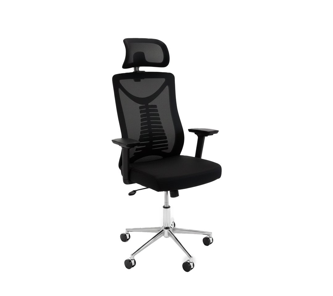 Paris Presidencial - Ergonómica