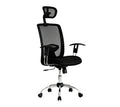 SILLA PRESIDENCIAL PALERMO